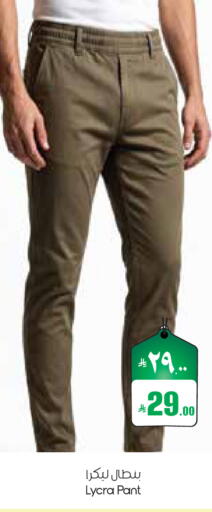 available at ستي فلاور in مملكة العربية السعودية, السعودية, سعودية - الدوادمي