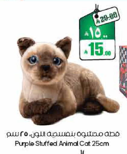 available at ستي فلاور in مملكة العربية السعودية, السعودية, سعودية - نجران