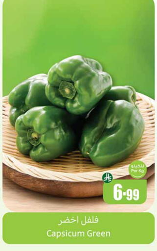 Capsicum available at أسواق عبد الله العثيم in مملكة العربية السعودية, السعودية, سعودية - حائل‎