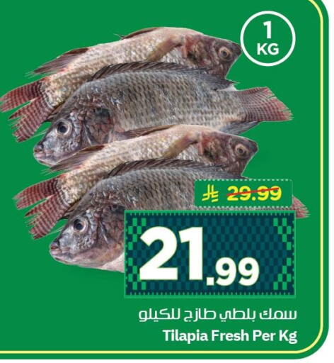 available at نستو in مملكة العربية السعودية, السعودية, سعودية - الجبيل‎