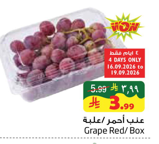 available at ليان هايبر in مملكة العربية السعودية, السعودية, سعودية - المنطقة الشرقية