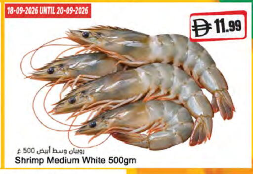 available at المايا سوبرماركت in الإمارات العربية المتحدة , الامارات - ٱلْعَيْن‎