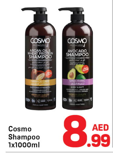 Avocado available at Day to Day Department Store in UAE - Dubai