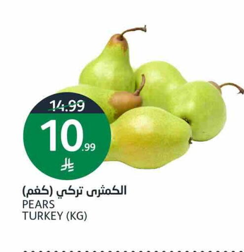 available at AlJazera Shopping Center in KSA, Saudi Arabia, Saudi - Riyadh