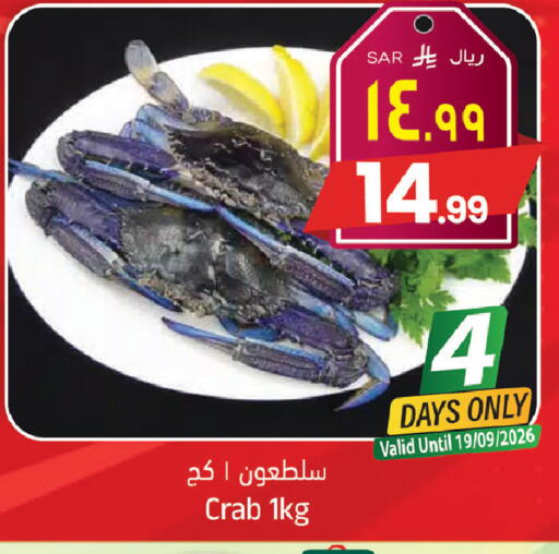 available at ستي فلاور in مملكة العربية السعودية, السعودية, سعودية - الجبيل‎