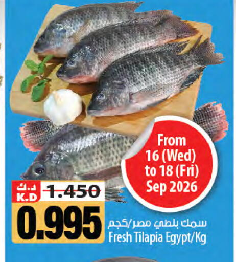 Mango available at Mango Hypermarket  in Kuwait - Kuwait City