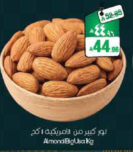 available at ستي فلاور in مملكة العربية السعودية, السعودية, سعودية - أبها