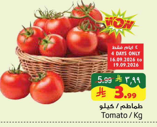 Tomato available at ليان هايبر in مملكة العربية السعودية, السعودية, سعودية - المنطقة الشرقية