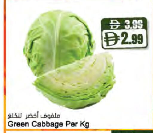 Cabbage available at المايا سوبرماركت in الإمارات العربية المتحدة , الامارات - ٱلْعَيْن‎