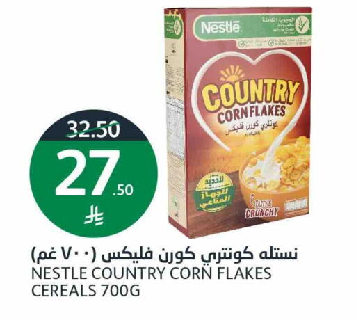 available at أسواق الجزيرة in مملكة العربية السعودية, السعودية, سعودية - الرياض