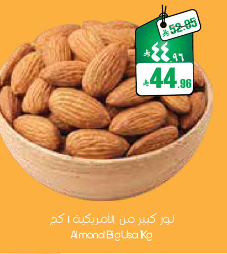 available at ستي فلاور in مملكة العربية السعودية, السعودية, سعودية - الرياض