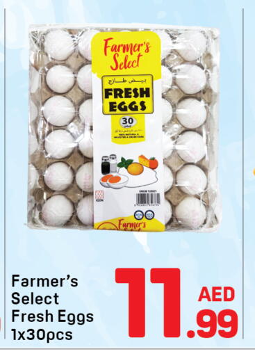 available at Day to Day Department Store in UAE - Dubai