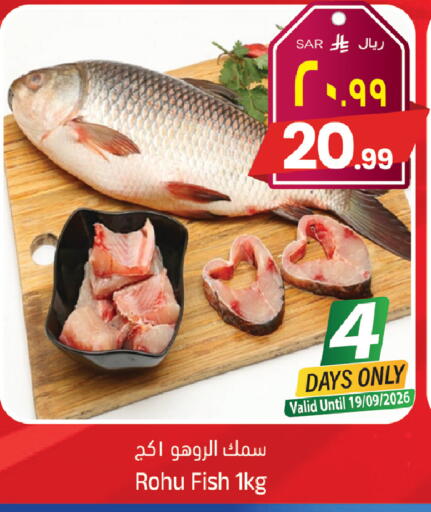 available at ستي فلاور in مملكة العربية السعودية, السعودية, سعودية - حائل‎