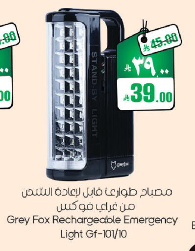 available at City Flower in KSA, Saudi Arabia, Saudi - Sakaka