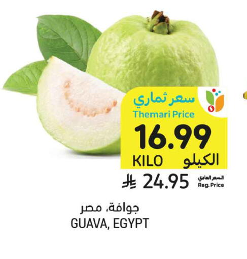 Guava from Egypt available at أسواق التميمي in مملكة العربية السعودية, السعودية, سعودية - تبوك