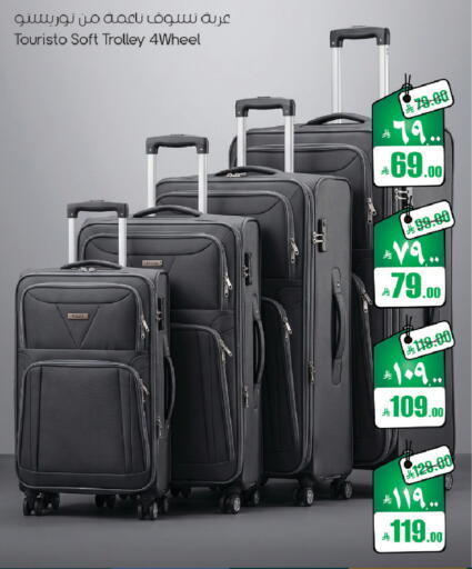 available at ستي فلاور in مملكة العربية السعودية, السعودية, سعودية - حائل‎