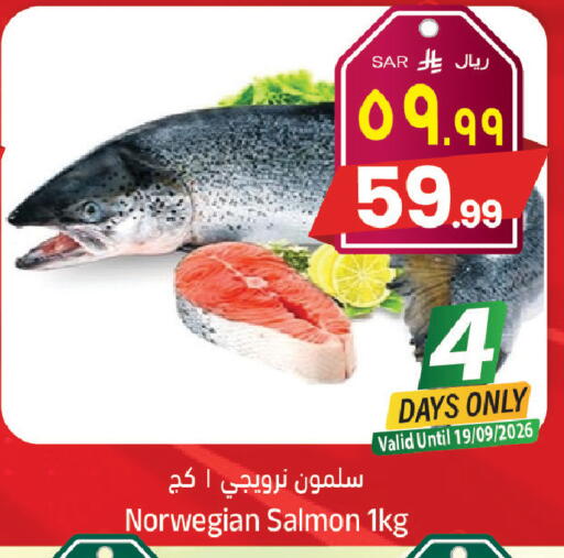 available at City Flower in KSA, Saudi Arabia, Saudi - Sakaka