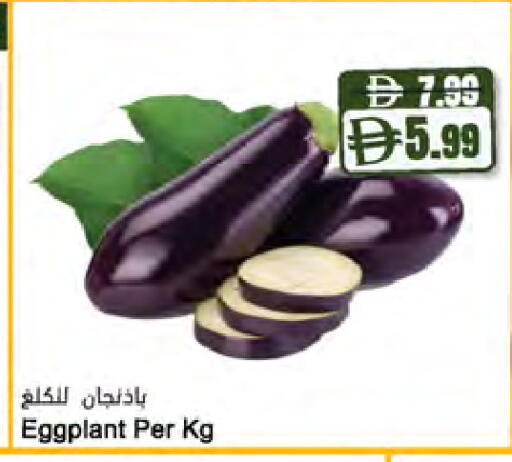 Eggplant available at المايا سوبرماركت in الإمارات العربية المتحدة , الامارات - ٱلْعَيْن‎