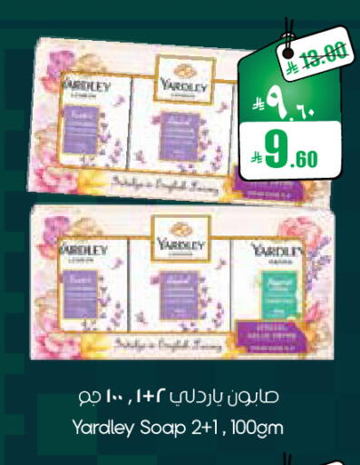 available at City Flower in KSA, Saudi Arabia, Saudi - Sakaka