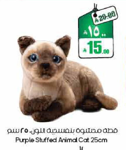 available at ستي فلاور in مملكة العربية السعودية, السعودية, سعودية - الأحساء‎