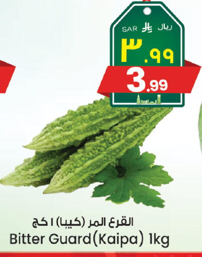 available at ستي فلاور in مملكة العربية السعودية, السعودية, سعودية - حائل‎