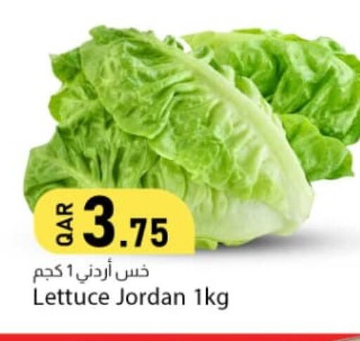 Lettuce from Jordan available at Dana Market in Qatar - Doha