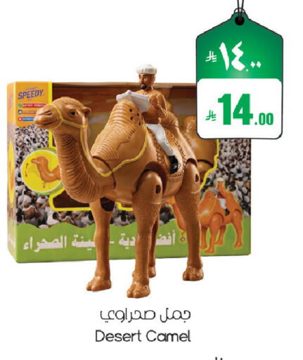 available at City Flower in KSA, Saudi Arabia, Saudi - Jubail