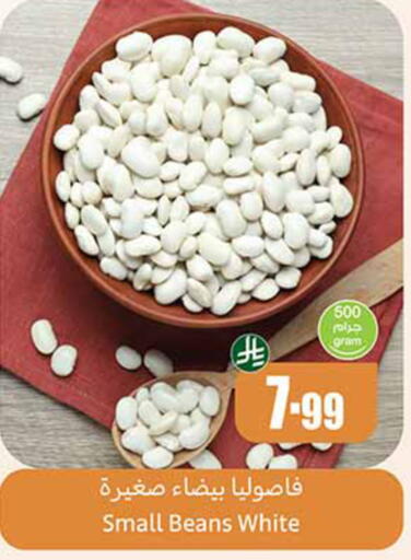 available at أسواق عبد الله العثيم in مملكة العربية السعودية, السعودية, سعودية - حائل‎