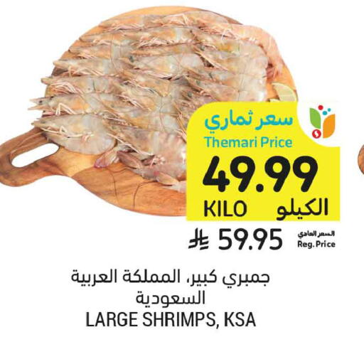 available at أسواق التميمي in مملكة العربية السعودية, السعودية, سعودية - تبوك