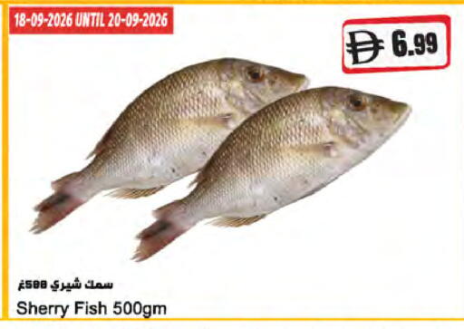 available at المايا سوبرماركت in الإمارات العربية المتحدة , الامارات - دبي
