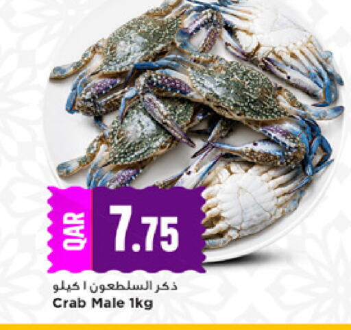 available at مرزا هايبرماركت in قطر - الوكرة