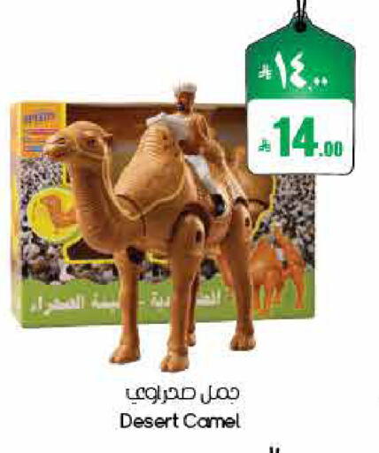 available at ستي فلاور in مملكة العربية السعودية, السعودية, سعودية - الأحساء‎