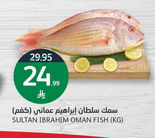 available at أسواق الجزيرة in مملكة العربية السعودية, السعودية, سعودية - الرياض