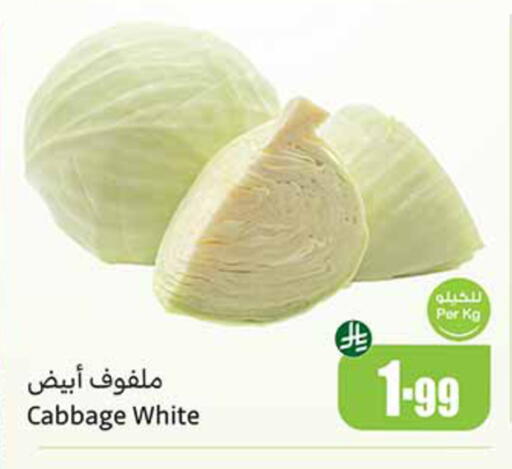 Cabbage available at أسواق عبد الله العثيم in مملكة العربية السعودية, السعودية, سعودية - حائل‎