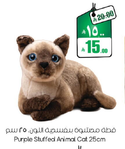 available at ستي فلاور in مملكة العربية السعودية, السعودية, سعودية - الرياض