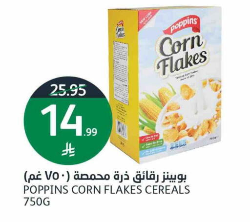 available at أسواق الجزيرة in مملكة العربية السعودية, السعودية, سعودية - الرياض