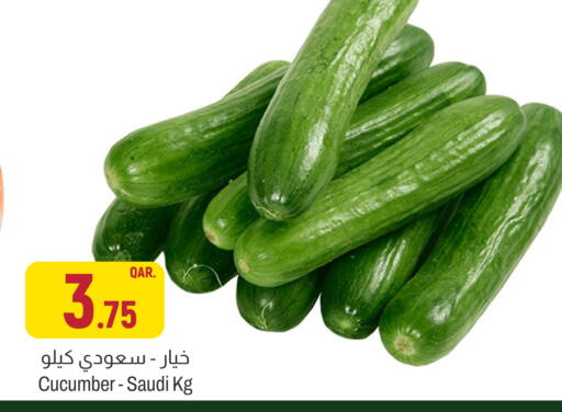 Cucumber from Saudi Arabia available at Aswaq Al Malaki Fresh in Qatar - Al Shamal