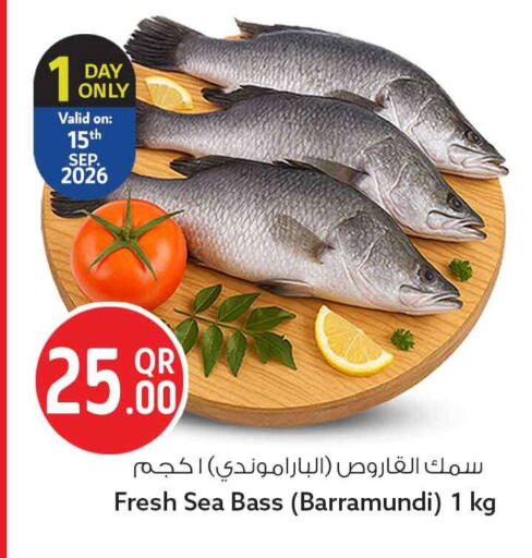 available at سفاري هايبر ماركت in قطر - الوكرة