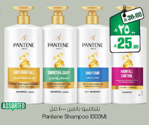 available at ستي فلاور in مملكة العربية السعودية, السعودية, سعودية - الجبيل‎