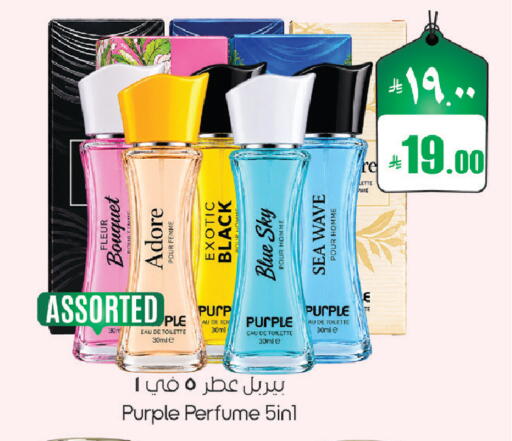 available at City Flower in KSA, Saudi Arabia, Saudi - Sakaka