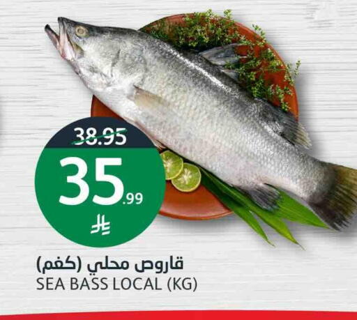 available at أسواق الجزيرة in مملكة العربية السعودية, السعودية, سعودية - الرياض