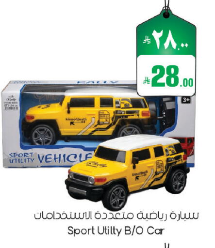 available at ستي فلاور in مملكة العربية السعودية, السعودية, سعودية - حائل‎