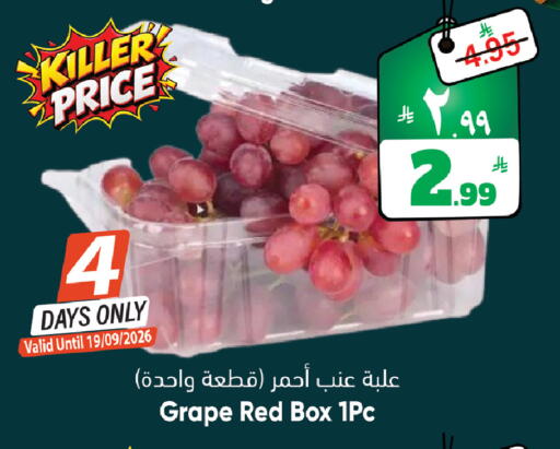 available at ستي فلاور in مملكة العربية السعودية, السعودية, سعودية - الجبيل‎