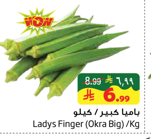 Okra available at ليان هايبر in مملكة العربية السعودية, السعودية, سعودية - المنطقة الشرقية