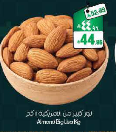 available at ستي فلاور in مملكة العربية السعودية, السعودية, سعودية - ينبع