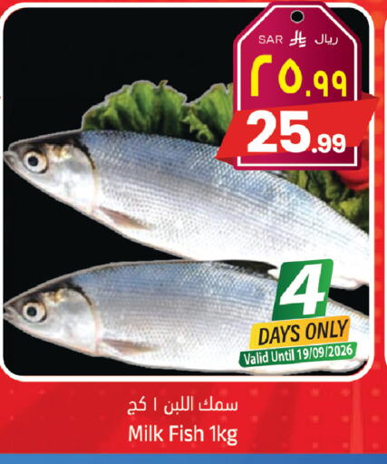 available at ستي فلاور in مملكة العربية السعودية, السعودية, سعودية - حائل‎