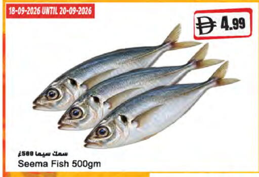 available at المايا سوبرماركت in الإمارات العربية المتحدة , الامارات - ٱلْعَيْن‎