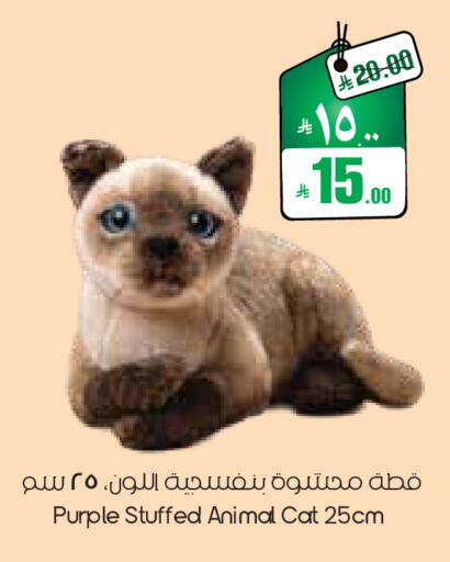 available at ستي فلاور in مملكة العربية السعودية, السعودية, سعودية - الجبيل‎