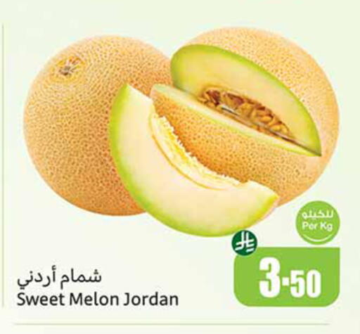 Melon from Jordan available at أسواق عبد الله العثيم in مملكة العربية السعودية, السعودية, سعودية - حائل‎