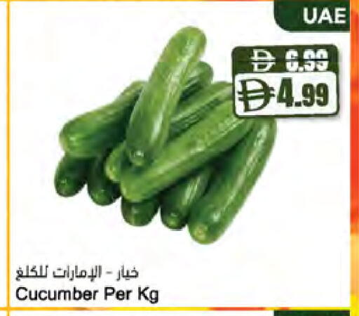 Cucumber available at المايا سوبرماركت in الإمارات العربية المتحدة , الامارات - ٱلْعَيْن‎